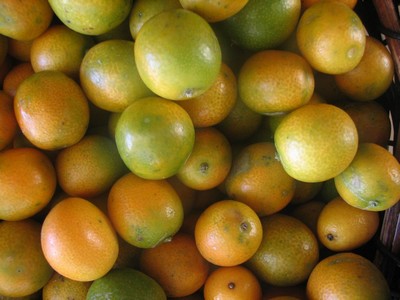 KUMQUAT ou KUMKWAT