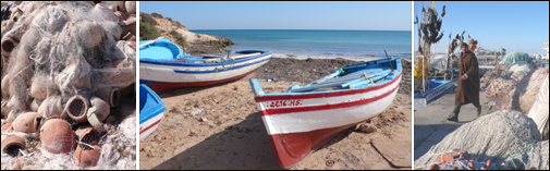 le long des côtes tunisiennes © TB