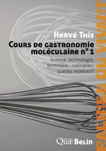 Cours de gastronomie moléculaire