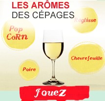 vindefrance-cepages.org un site pour jouer avec les cépages