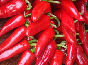 Le piment d’Espelette a fêté ses 10 ans d’AOC