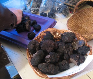 Premières ouvertures de Marchés aux Truffes