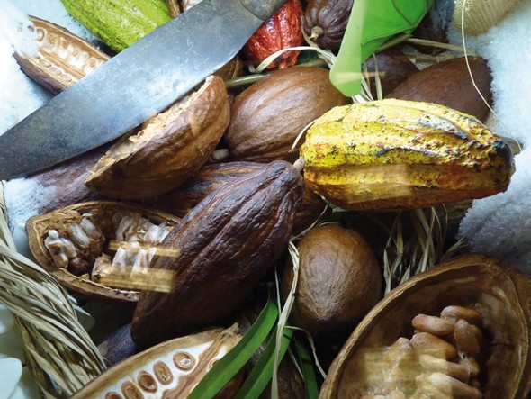 Les lieux de chocolat au Pays Basque