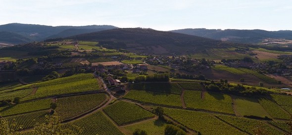 Les Vignerons des Terres Secrètes…un secret bien gardé