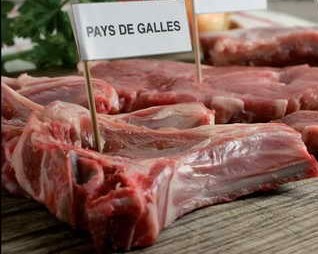 AGNEAU GALLOIS IGP