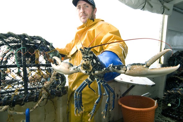 Visite gourmande en Normandie – Côté mer –