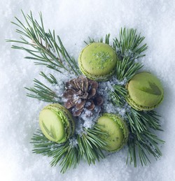 La Radio du Goût a aimé: Le macaron Sapin de Frédéric Cassel