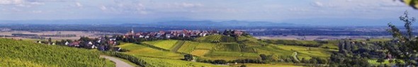 Paysage des vins d'Alsace©vinsalsacecom/F.Zvardon