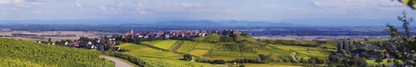 VISITE GOURMANDE DANS LES VIGNES D’ALSACE