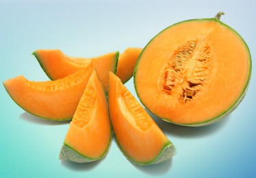 melon-du-haut-poitou