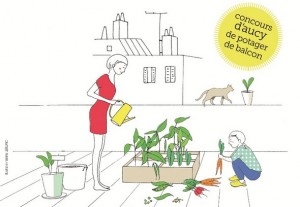 Concours d’aucy de Potager de Balcon