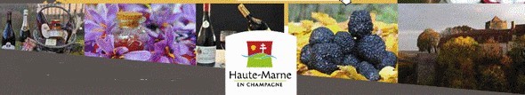 Or rouge et diamant gris: les trésors de la Haute-Marne