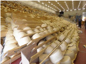 Italie: la filière du Parmesan se relève après le seisme de mai 2012