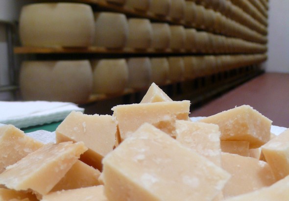 Du faux « Parmesan » au SIAL à Paris