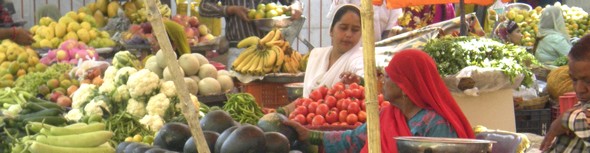 INDE: sur la route des légumes