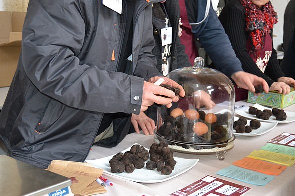 La truffe à Bordeaux