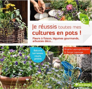 pots-culture1