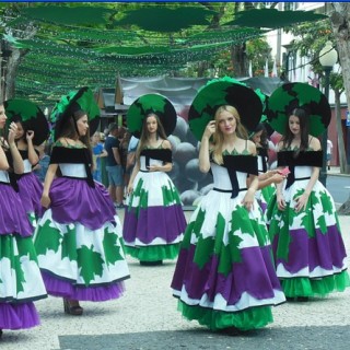 danseuses-vignes-madere