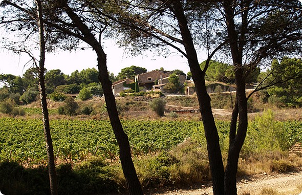 La Radio du Goût a aimé: Le Château Le Bouïs (Château Le Bouïs – Aude)