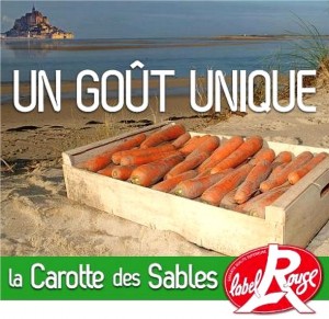 carottes des sables