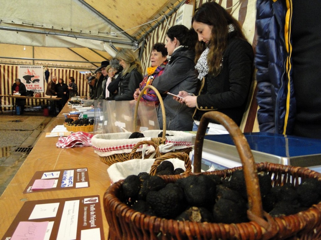 producteurs de truffes en rang d'oignon 1150