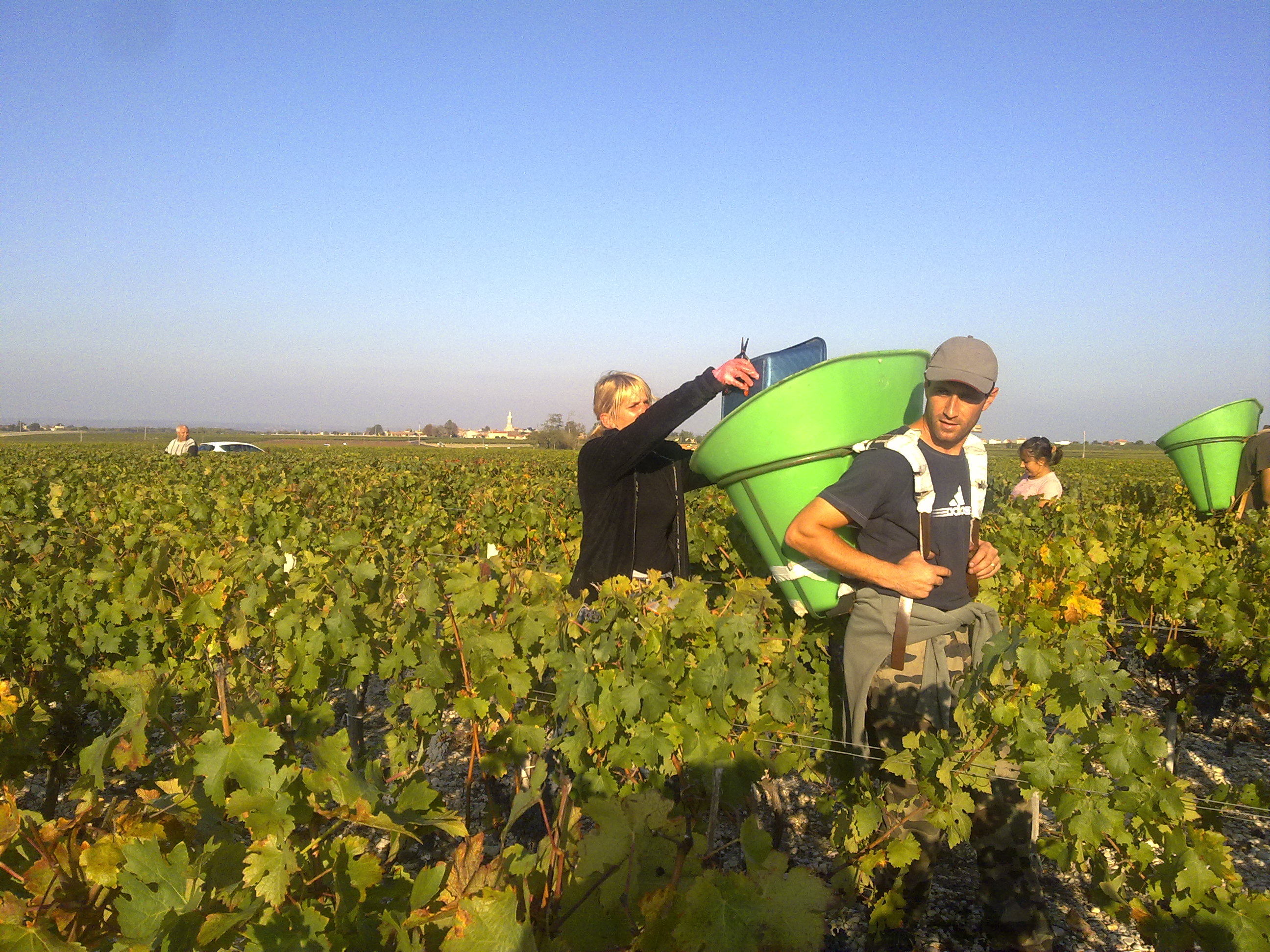 Dans les vignes du château Tour des Termes. ©Christophe Anney