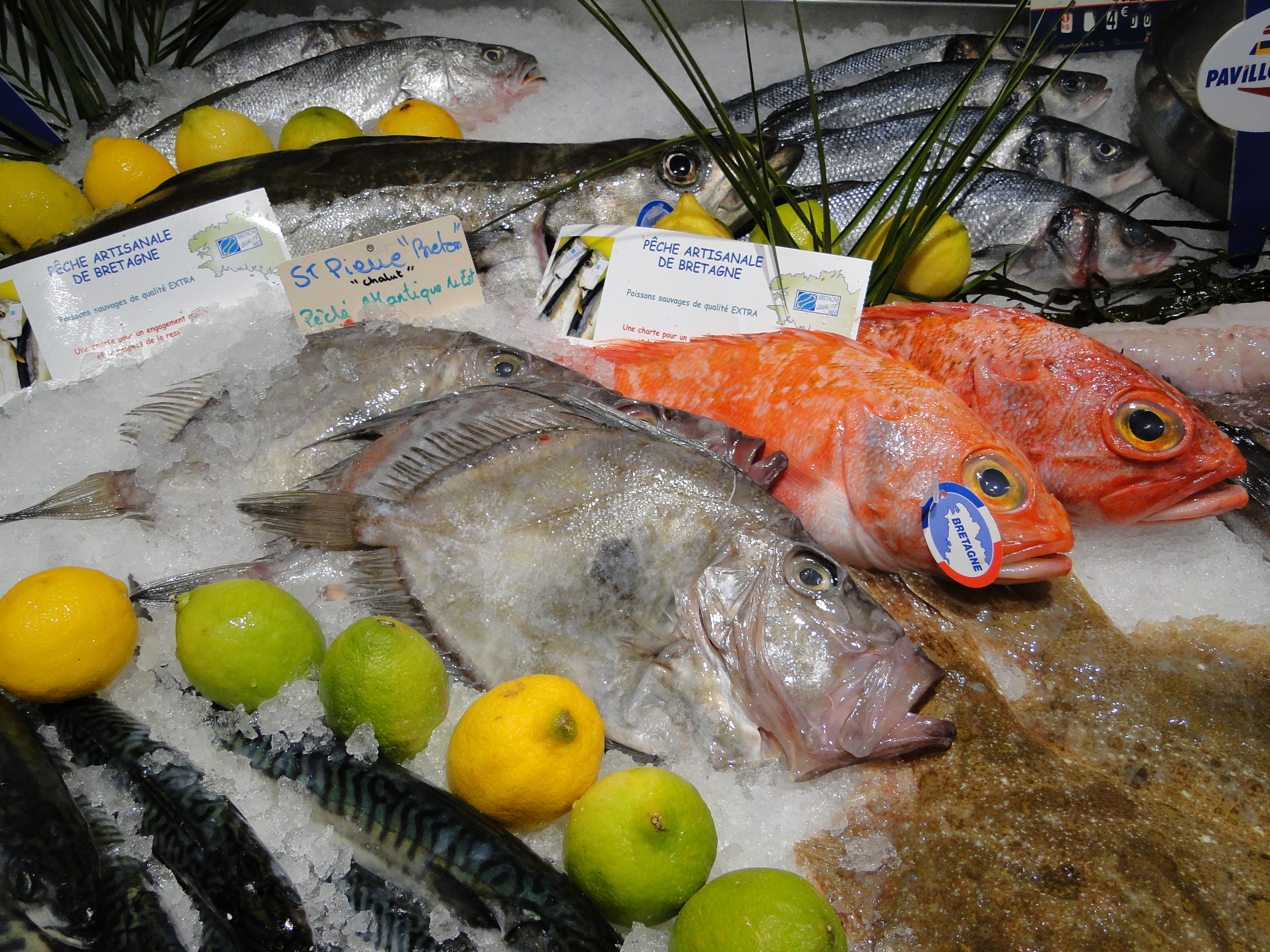 Le Saint-Pierre tire son nom d'une légende : Saint Pierre l'aurait tiré de l'eau en l'attrapant entre deux doigts. D'où les deux tâches plus foncées qui marquent les flancs du poisson... ©Amélie Petitdemange