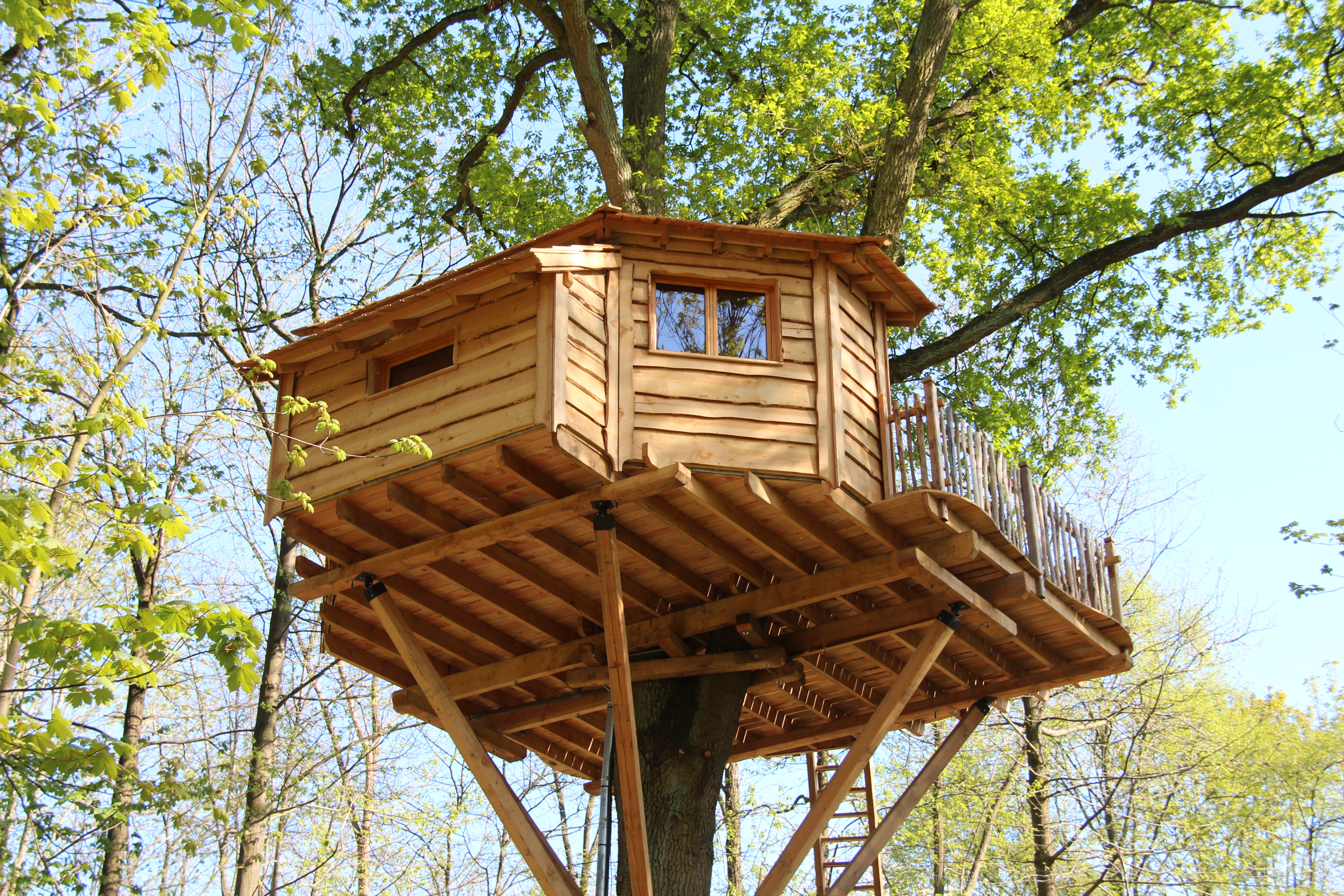 La cabane des Grands chênes, dans l'Oise ©CRT Picardi, Photo AS Clément