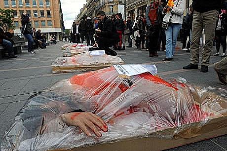 1328141-toulouse-manifestation-de-l-association-fermons-les-abattoirs - Copie