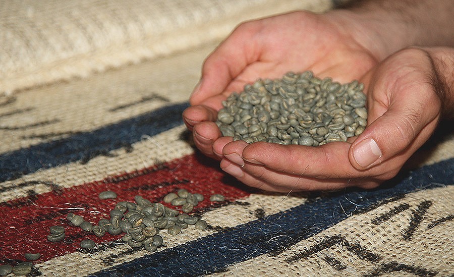 la qualité des grains