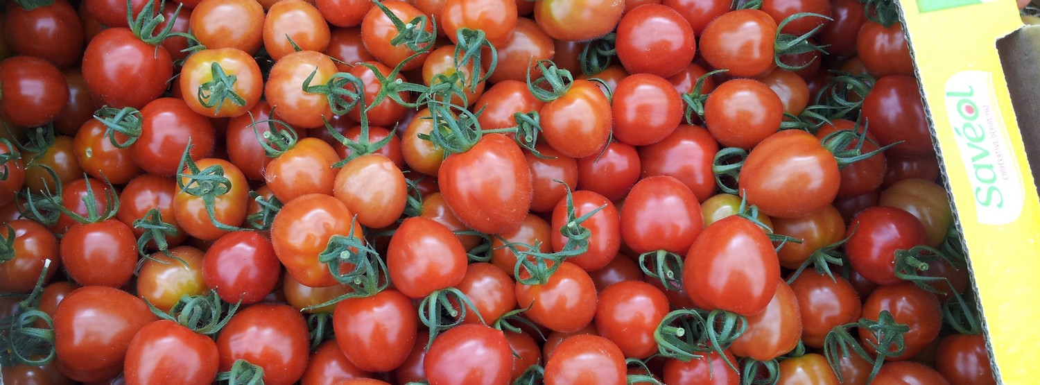 petites tomates