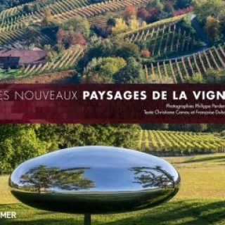 paysages-vigne