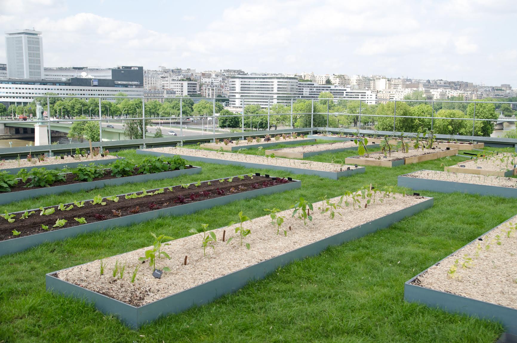 potager-cordon-bleu