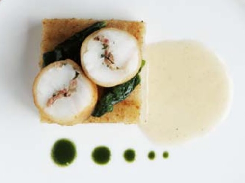 turbot-salsifis