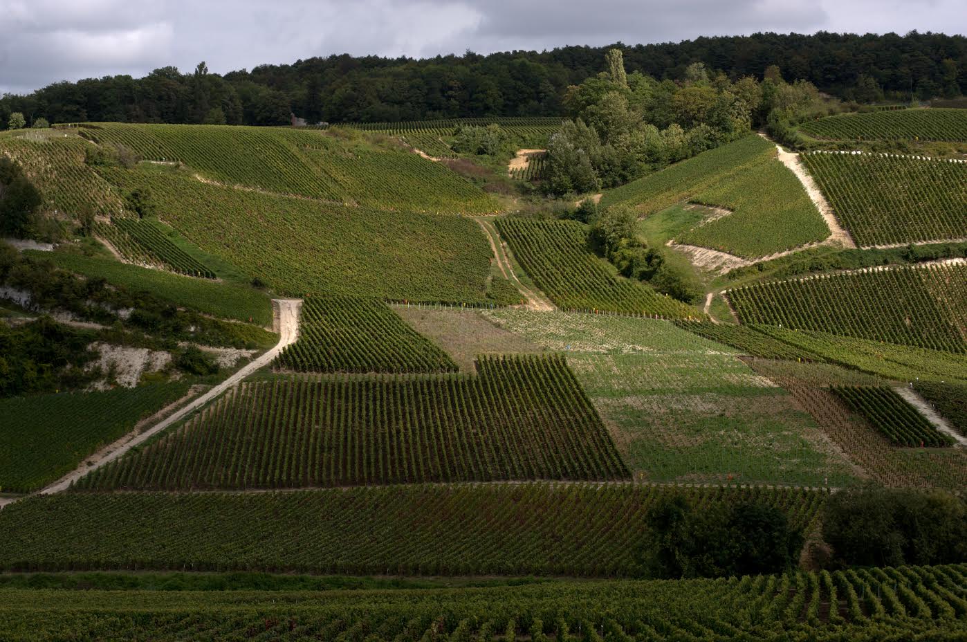 paysage montagne de reims