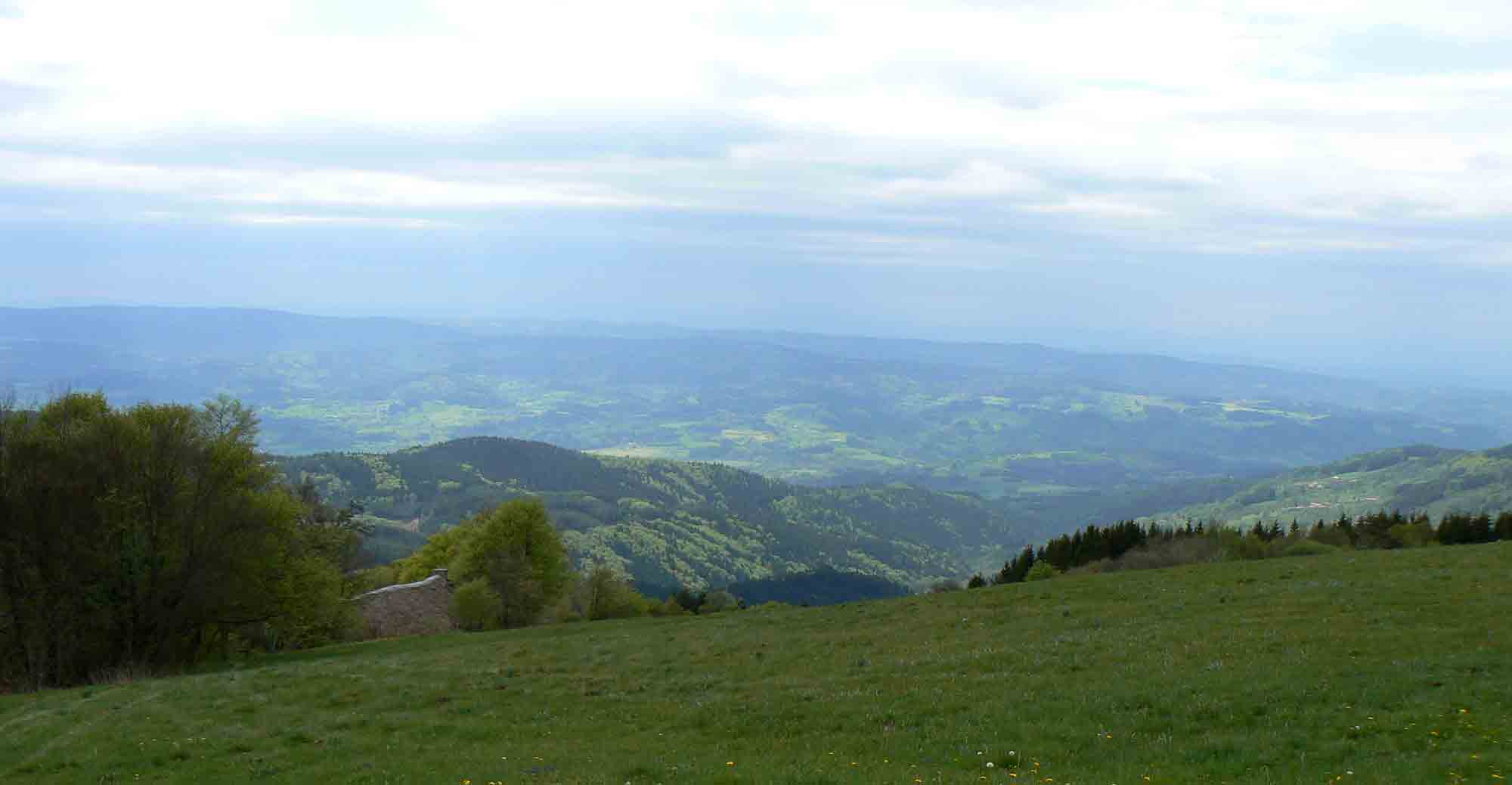 Hautes-Chaumes du Forez