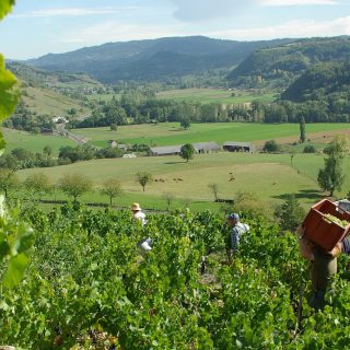 Vignoble Estaing home