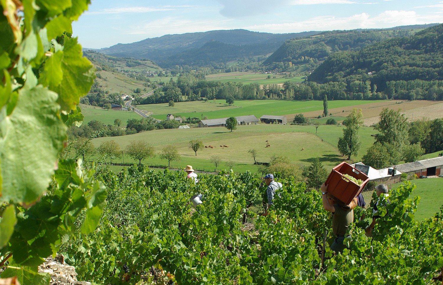 Vignoble Estaing home