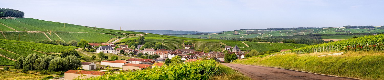 Panorama 1500