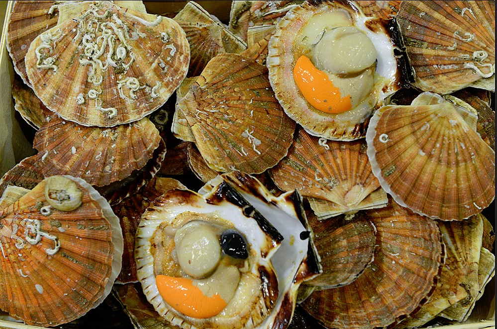 coquilles ST Jacques ©rungis