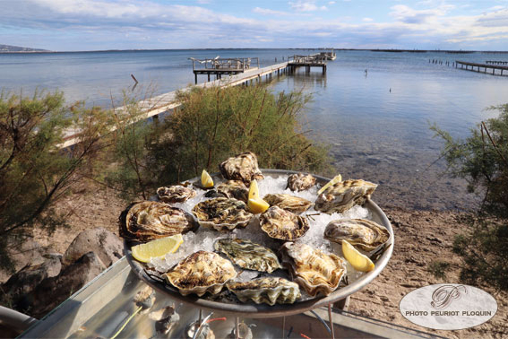 plateau de fruits de mer et ponton