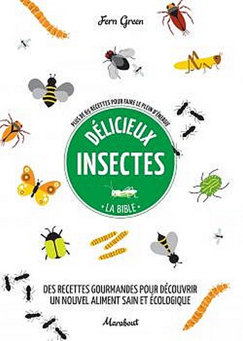 couv livre insectes - 350