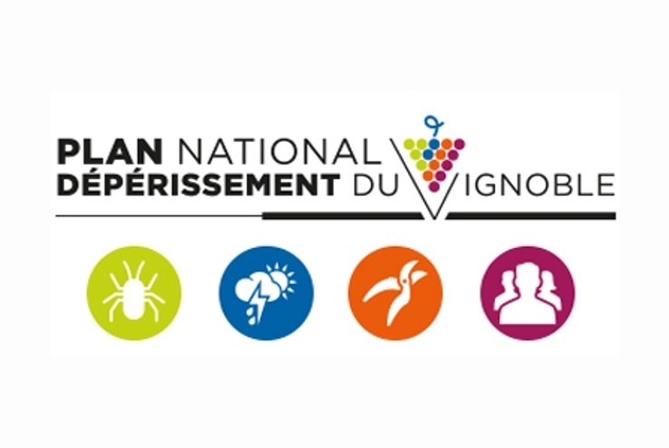 plan vignoble logo