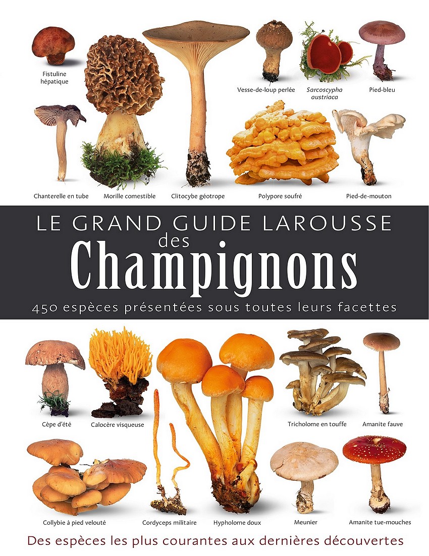 guide larousse champignons