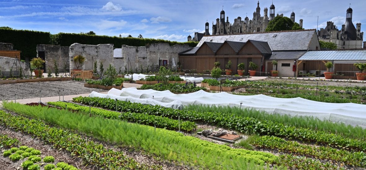 potager du Domaine ©DR