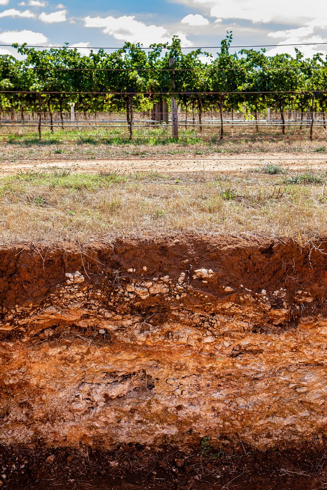 Terra Rossa Soil at Wynns ©DR