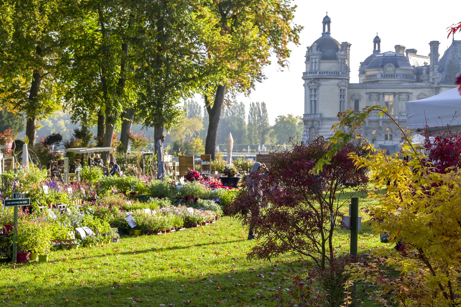 chantilly accueille les plantes ©DR