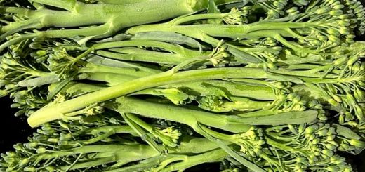 le brocoli Bimi® en ouverture ©T.Bourgeon/laradiodugout.fr