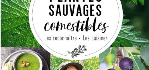 couv plantes sauvages