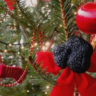 _copie-0_truffe arbre de noel 1 600